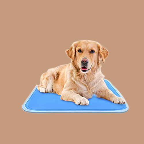 Buy Dog Supplies Online Pet Supplies Inc