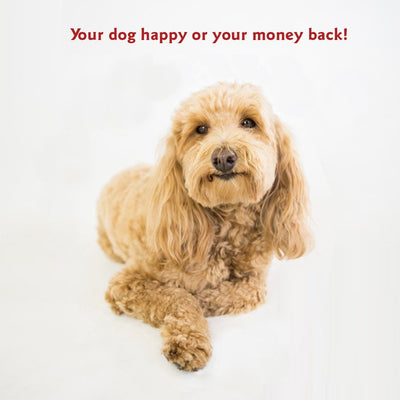 Majestic Pet Super Value Machine Washable Pet Dog Bed, Large, Khaki