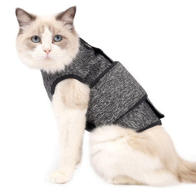 Pet Cat Clothes 2020 New High Quality Pet Clothing Cats Comfortable and Warm Gray Clothes Fast Delivery Products Gray M