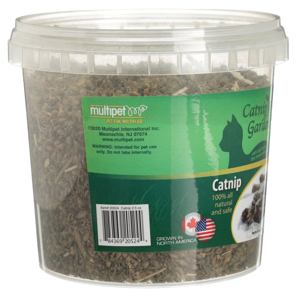 Multipet Catnip Garden, Catnip Cup, Cat Toy, 2.5 Oz