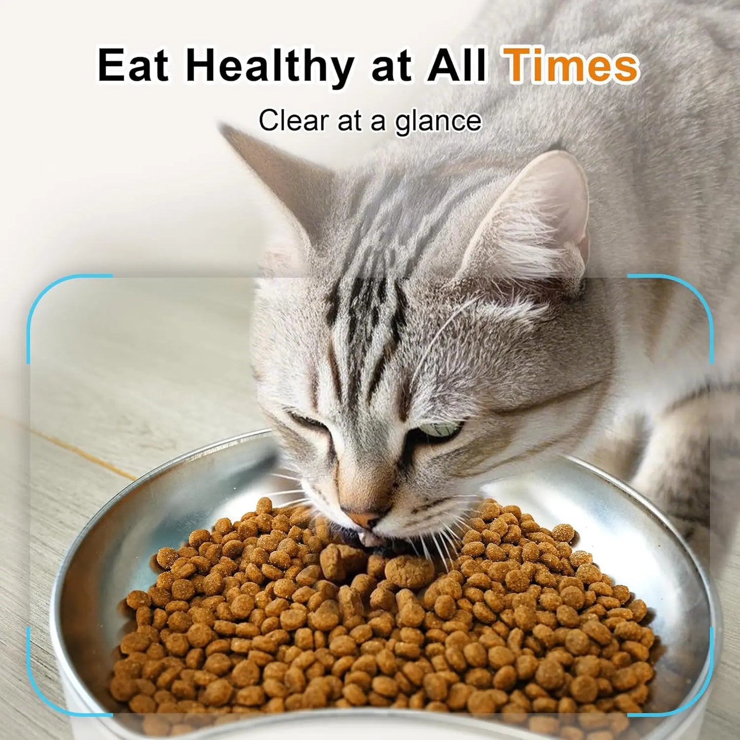 6L Automatic Cat Feeder with Dual Camera, 1080P HD Night Vision & Dual Power Supply, Easy Setup Timed Food Dispenser with Desiccant Bag for Cats & Dogs, 5G Wifi Pet Feeder with 2-Way Audio