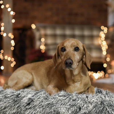 Dog Beds for Medium,Small Dogs Puppy Bed Washable Anti-Slip Sleeping Mat 35"X 23" Gray