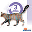Hartz Ultraguard Topical Flea and Tick Prevention Treatment for Cats and Kittens, 3 Treatments