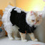 ZPAQI Cat Outfits for Cats Only Pet Costume Dog Clothes Black Dress for Girl Dogs