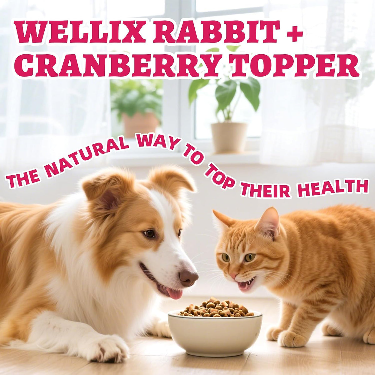 Wellix Rabbit & Cranberry Freeze Dried Dog & Cat Treats - Grain Free 4.59Oz