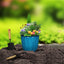 Better Homes & Gardens Kamala Light Blue Resin Planter, 10.7In X 10.7In X 9.69In