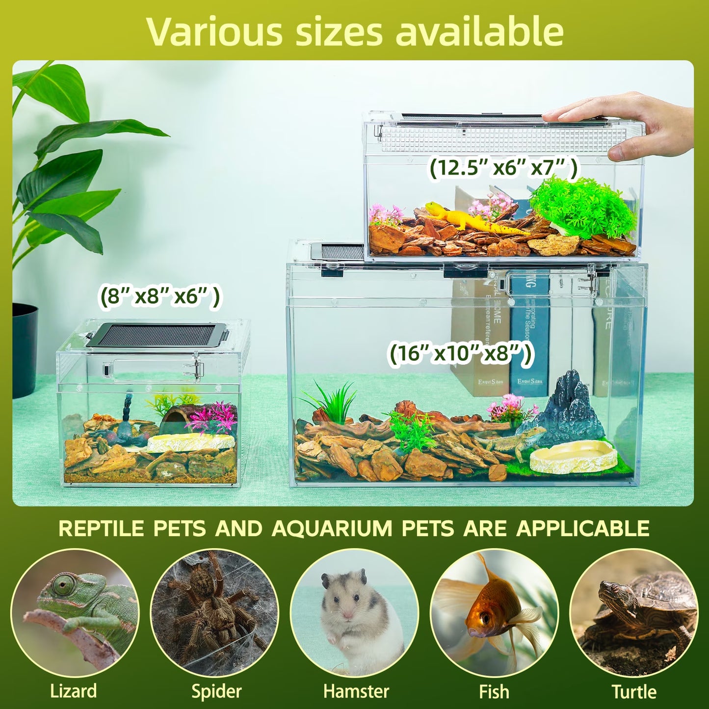 Gecko Tank & Reptile Terrarium Kit with Heat Lamp, Spray Bottle, Tools & Hideout - Perfect Habitat for Lizards, Snakes, Turtles, Hermit Crabs, Frogs, Jumping Spiders 12.5X6X7 Inch