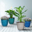 Better Homes & Gardens Kamala Light Blue Resin Planter, 10.7In X 10.7In X 9.69In