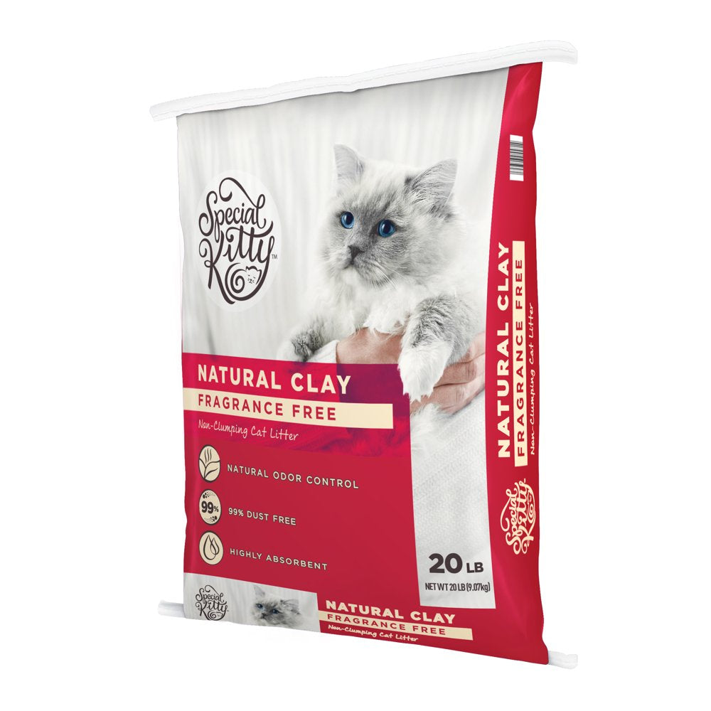 Special Kitty Unscented Non-Clumping Natural Clay Litter, 20 Lbs