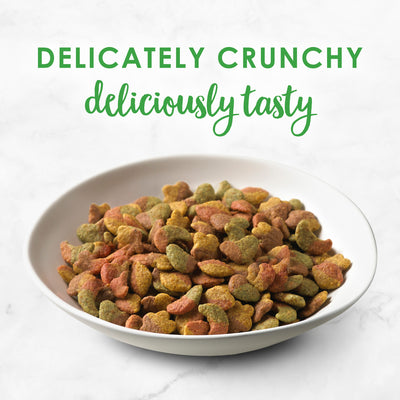 Fancy Feast Dry Cat Food, with Ocean Fish & Salmon, 3 Lb. Bag