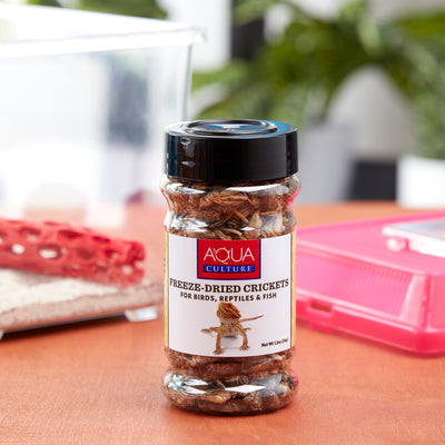 Aqua Culture Insect Flavor Dry Reptile Food,1.2 Oz Bottle (1 Pack)