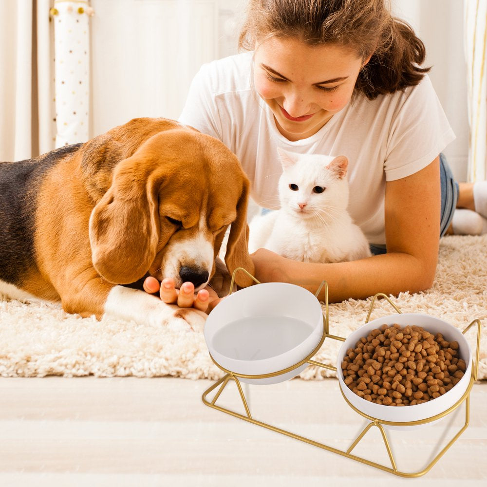 Armscye Upgrade Elevated Cat Bowls Clearance!, Double Ceramic Cat Bowls for Food and Water 15 Degree Tilted Raised with Stand, Elevated Cat Dish Feeder anti Vomiting Perfect for Puppy Cat,Small Dog(Double Bowl)