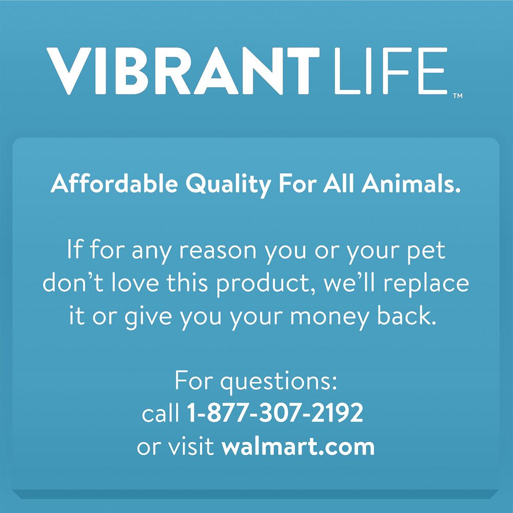 Vibrant Life Gravity Pet Feeder, Blue, Medium for Dogs and Cats, 5 Pound Capacity