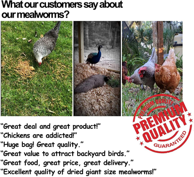 Mealworms -5 Lbs- 100% Non-Gmo Dried Mealworms - Large Meal Worms - Bulk Mealworms -High Protein Treats- Perfect Mealworm for Chickens, Ducks, Turtles, Blue Birds, Lizards - Bag of Mealworms 5 LBS