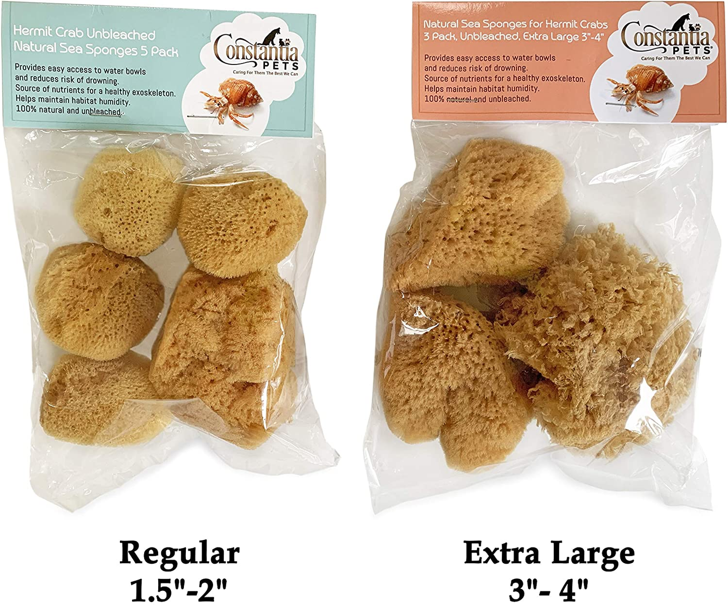 Hermit Crab Real Sea Sponges - 5 Pack Unbleached, Provides Nutrients, Safer Drinking and Helps Maintain Habitat Tank Humidity
