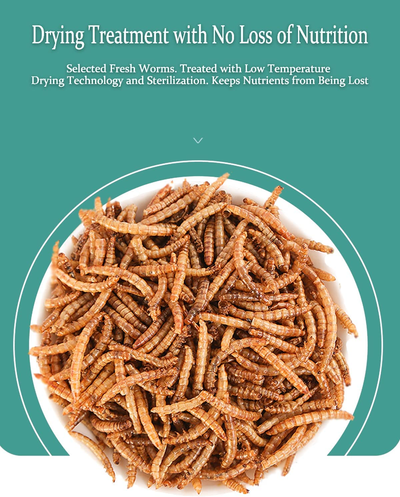 Reptile Food Dried Mealworms Pet Worms Food for Bearded Dragon, Lizard, Turtles, Chameleon, Monitor, Frog, Sugar Glider, Chickens, Ducks, Wild Birds, Fish, Hamsters and Hedgehogs (3.5 OZ)