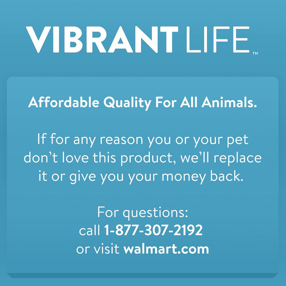 Vibrant Life 24 Piece Value Pack Cat Toys