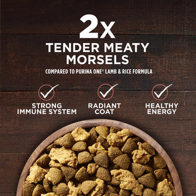 Purina ONE Natural, High Protein Dry Dog Food, True Instinct with Real Beef & Salmon, 3.8 Lb. Bag