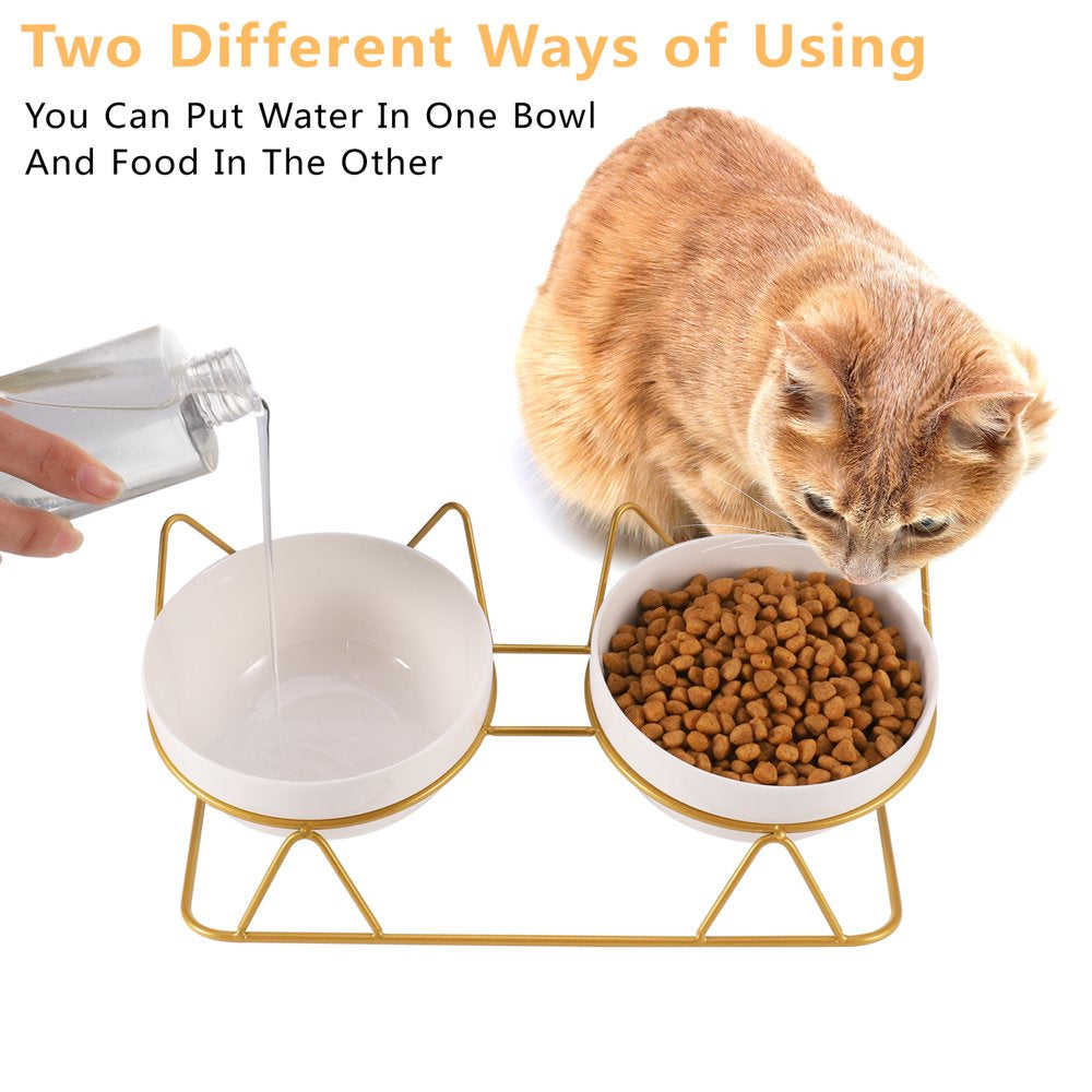 Armscye Upgrade Elevated Cat Bowls Clearance!, Double Ceramic Cat Bowls for Food and Water 15 Degree Tilted Raised with Stand, Elevated Cat Dish Feeder anti Vomiting Perfect for Puppy Cat,Small Dog(Double Bowl)