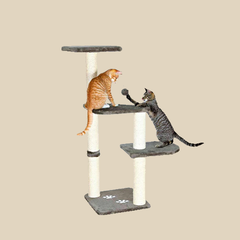 Cat Furniture & Scratchers