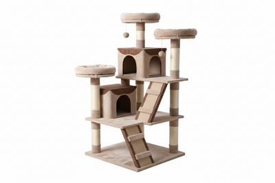 Trees, Condos & Scratchers (Cat)