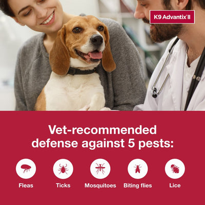 K9 Advantix II Monthly Flea & Tick Prevention for Small Dogs 4-10 Lbs, 2-Monthly Treatments