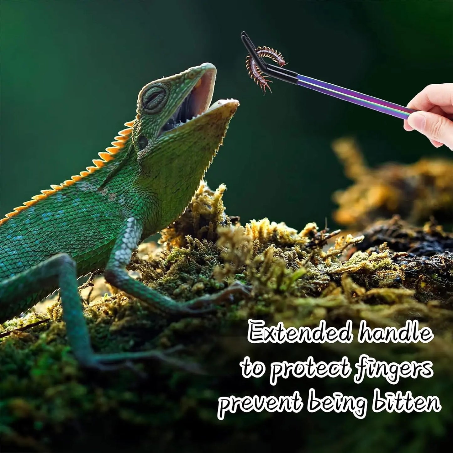 2 Count Stainless Steel Reptile Feeding Tongs with Rubber Tip, 10.6" Straight & Curved Long Tweezers, for Aquariums & Crafts - Ideal Bearded Dragon & Snake Tank Accessories, Terrarium Supplies