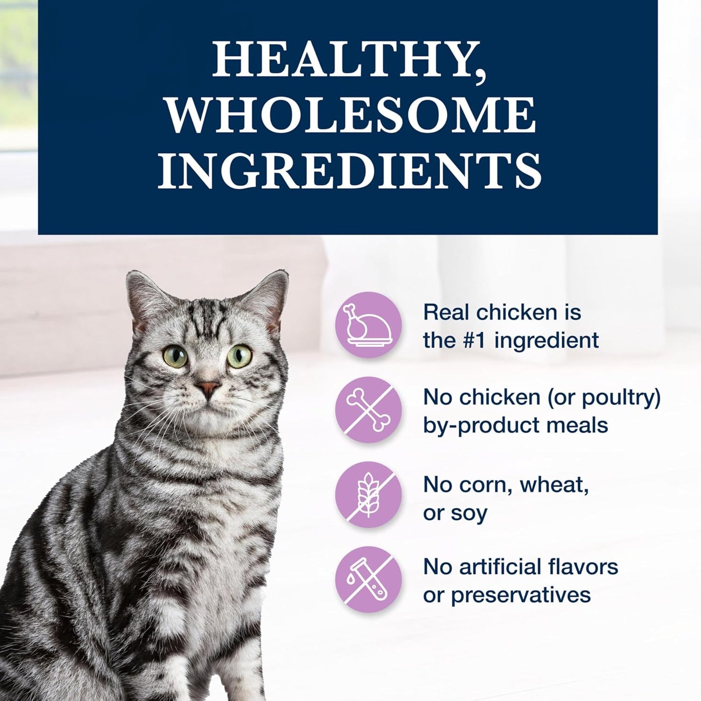 Blue Buffalo Natural Veterinary Diet W+U Weight Management + Urinary Care Dry Cat Food, Veterinarian Prescription Required, Chicken, 6.5-Lb Bag