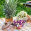 Moss & Stone 3-Piece Kitchen Glass Casserole Dish Set with Lids, Oven & Microwave Safe