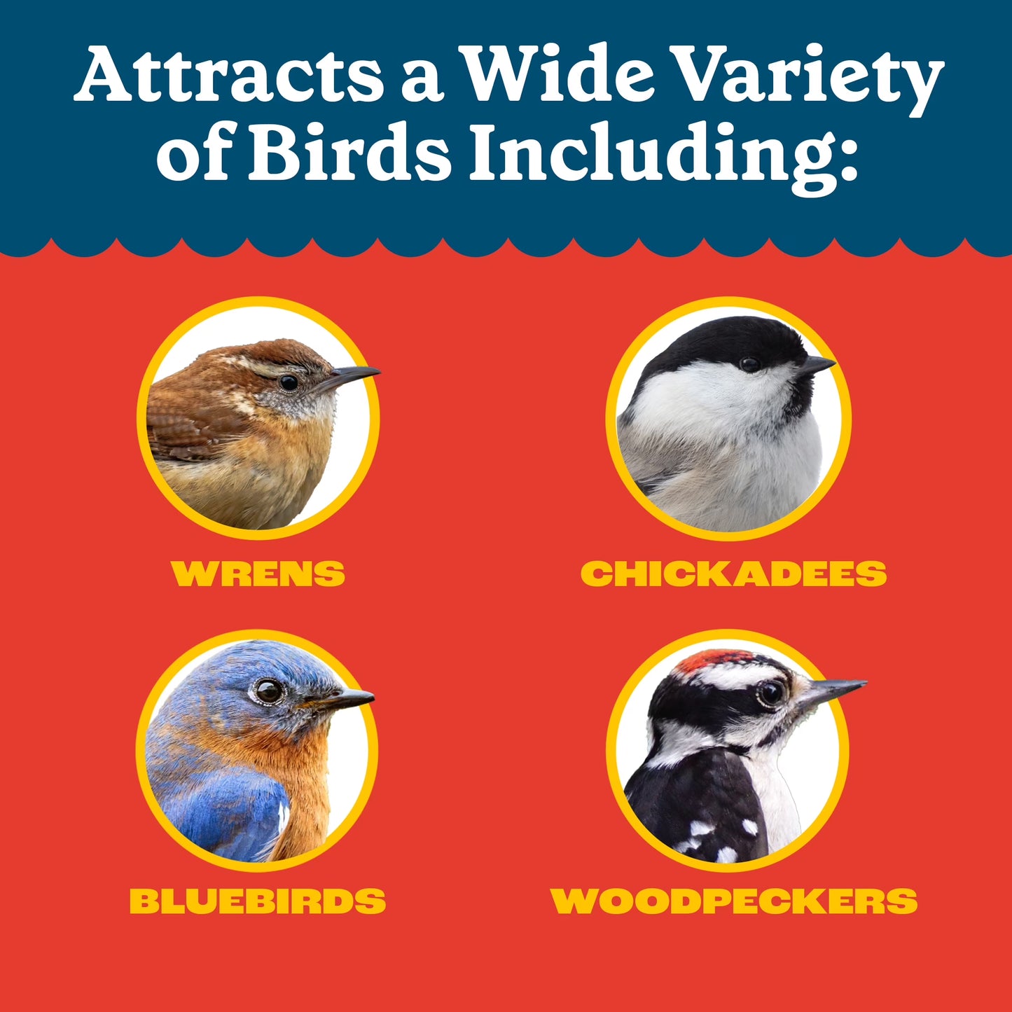 (4 Pack) Pennington Recipe Selects Dried Mealworms for Birds, Bluebird and Wild Bird Food for outside Feeder, 17.6 Oz Bag, 1 Pack