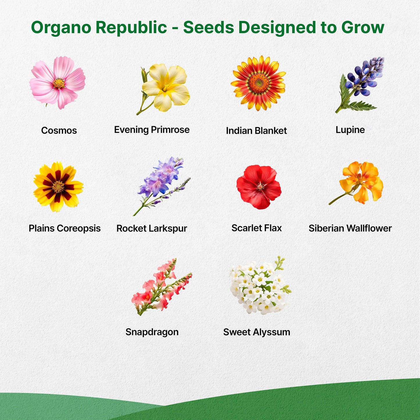 Organo Republic 21 Annual Wildflower Seeds Mix, 100,000+ Non-Gmo Heirloom Wildflower Garden Seeds