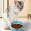 Y YHY Elevated Cat Food Bowl, Ceramic Raised Bowl, Tilt Angle Protects Cat'S Spine, anti Vomiting Dish, Backflow Prevention, Lake Blue