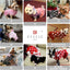 KYEESE Dog Sweaters with Leash Hole for Small Dogs Turtleneck Dog Sweater Dress for Girl Polka Dot Knit Pullover Doggie Sweater Warm Pet Sweater