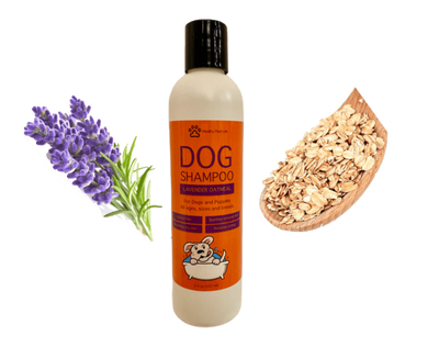Oatmeal Lavender Pet Shampoo