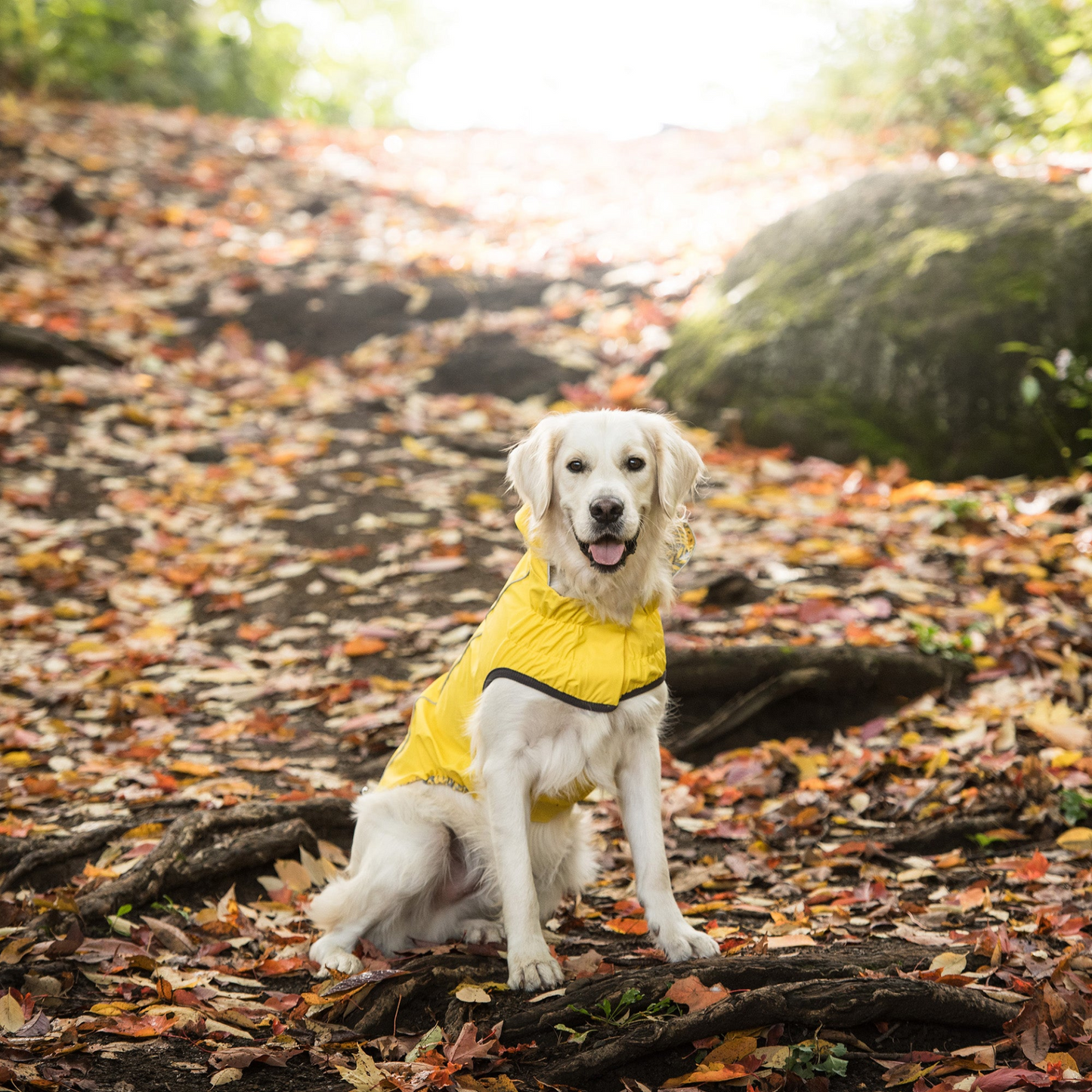 Reversible Elasto-Fit Raincoat - Yellow