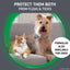 FRONTLINE® plus for Cats and Kittens Flea and Tick Treatment, 3 CT