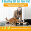 Raised Cat Food Bowls-3 Bowl Elevated Cat Feeding Station with Mat