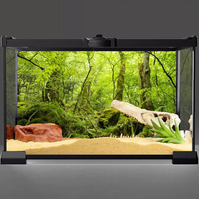 AWERT 60X24 Inches Terrarium Background Tropical Rainforest Reptile Habitat Background Green Huge Tree Stone Forest Aquarium Background