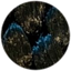 80154521