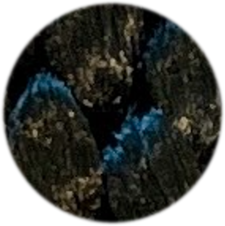 80154521