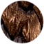 80154522