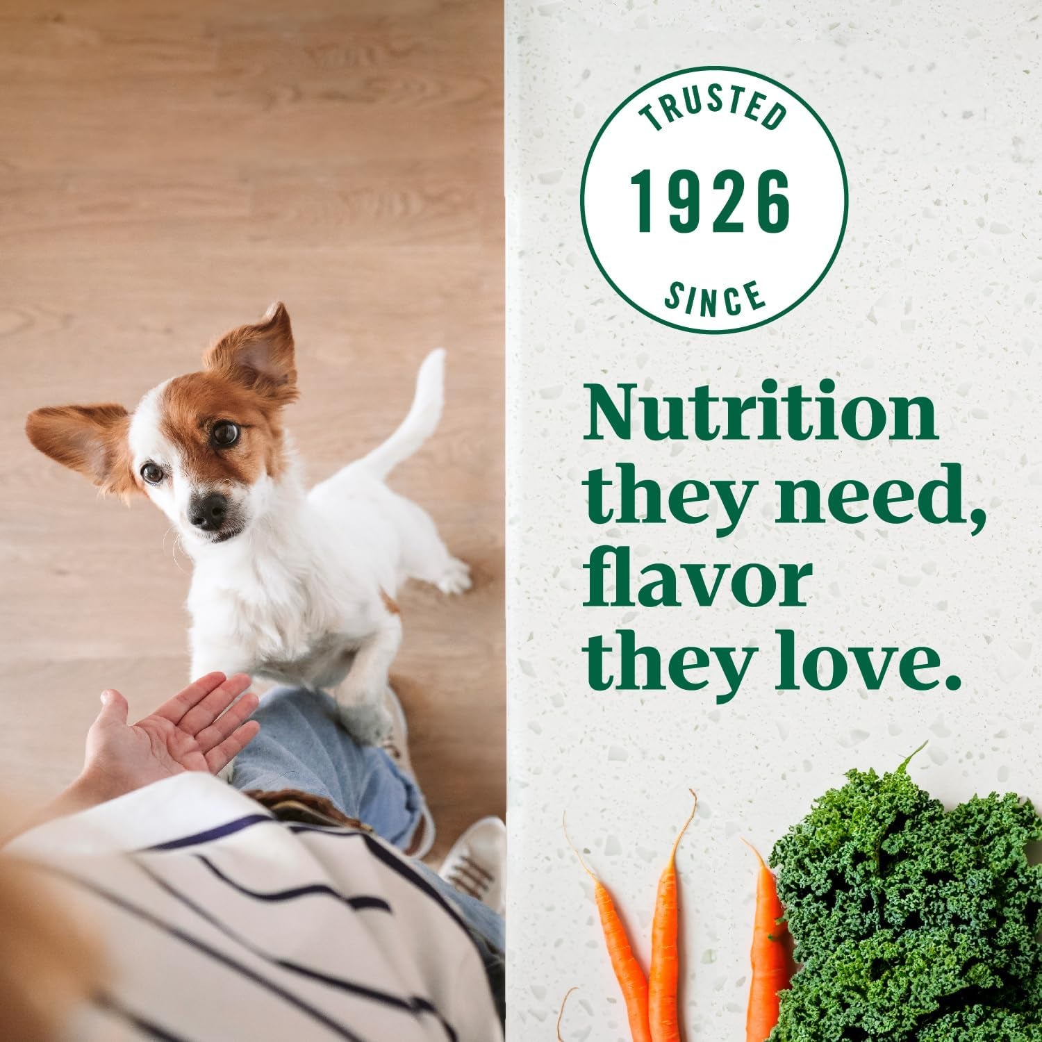 Nutro Ultra Adult Toy Breed Dry Dog Food, Small Dog Food Dry Chicken, Lamb and Salmon Recipe with a Protein Trio, 3.5 Lb. Bag