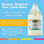 Hawaiian Shaved Ice Syrup, Pina Colada, Gallon