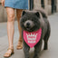Parisian Pet Pink Dog Bandanas - Adjustable Drama Queen Puppy Bandana - Girl Dog Accessories - Breathable and Stylish Dogs Kerchief - Triangle Pet Scarves - Small Dogs Bandana - Bib for Pets