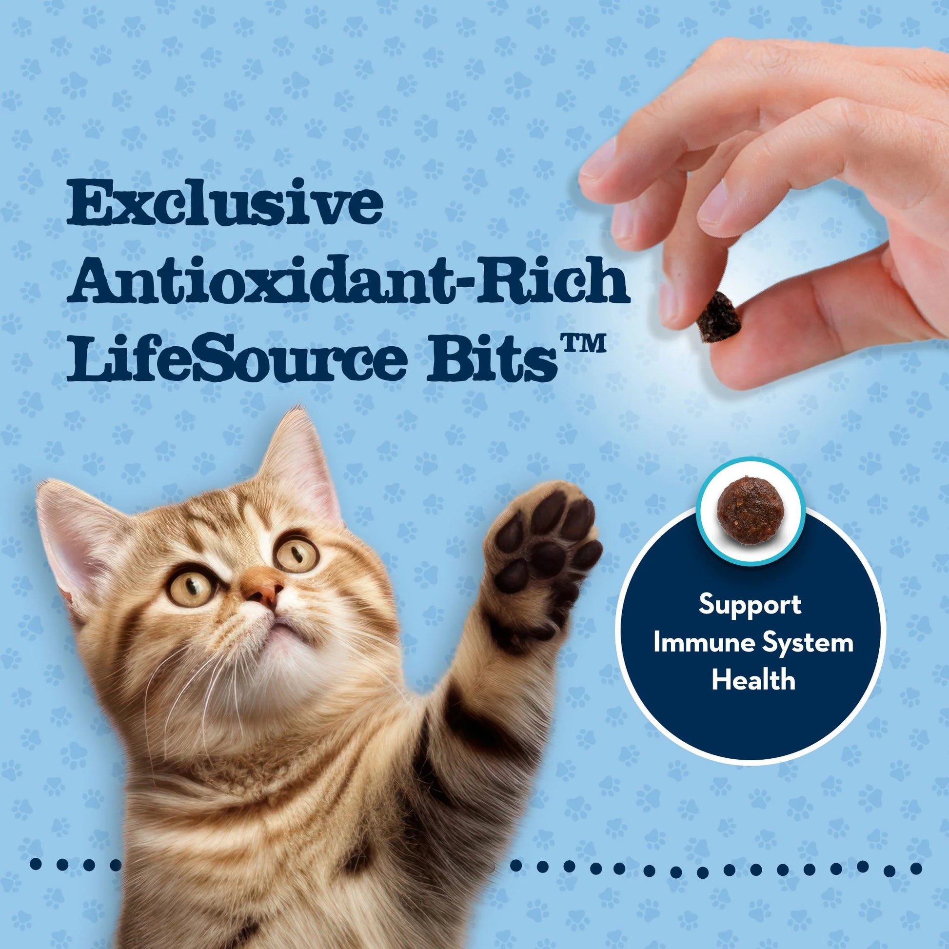 Blue Buffalo Baby BLUE Natural Kitten Dry Cat Food for Healthy Growth, Chicken, 2-Lb. Bag