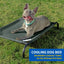 Coolaroo the Original Cooling Elevated Dog Bed, Indoor and Outdoor, Medium, Gunmetal Coolaroo