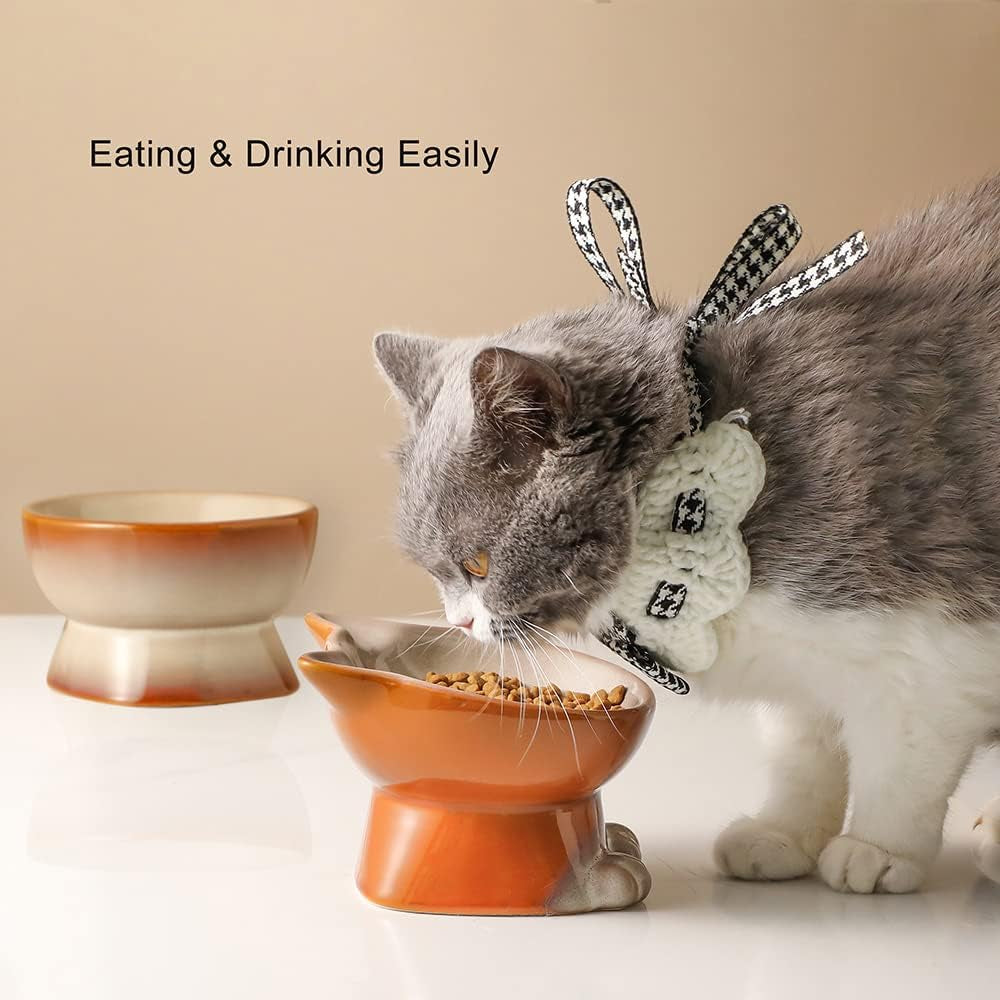 Nihow Elevated Cat Bowls,5 Inch Ceramic Raised Cat Food and Water Bowl Set