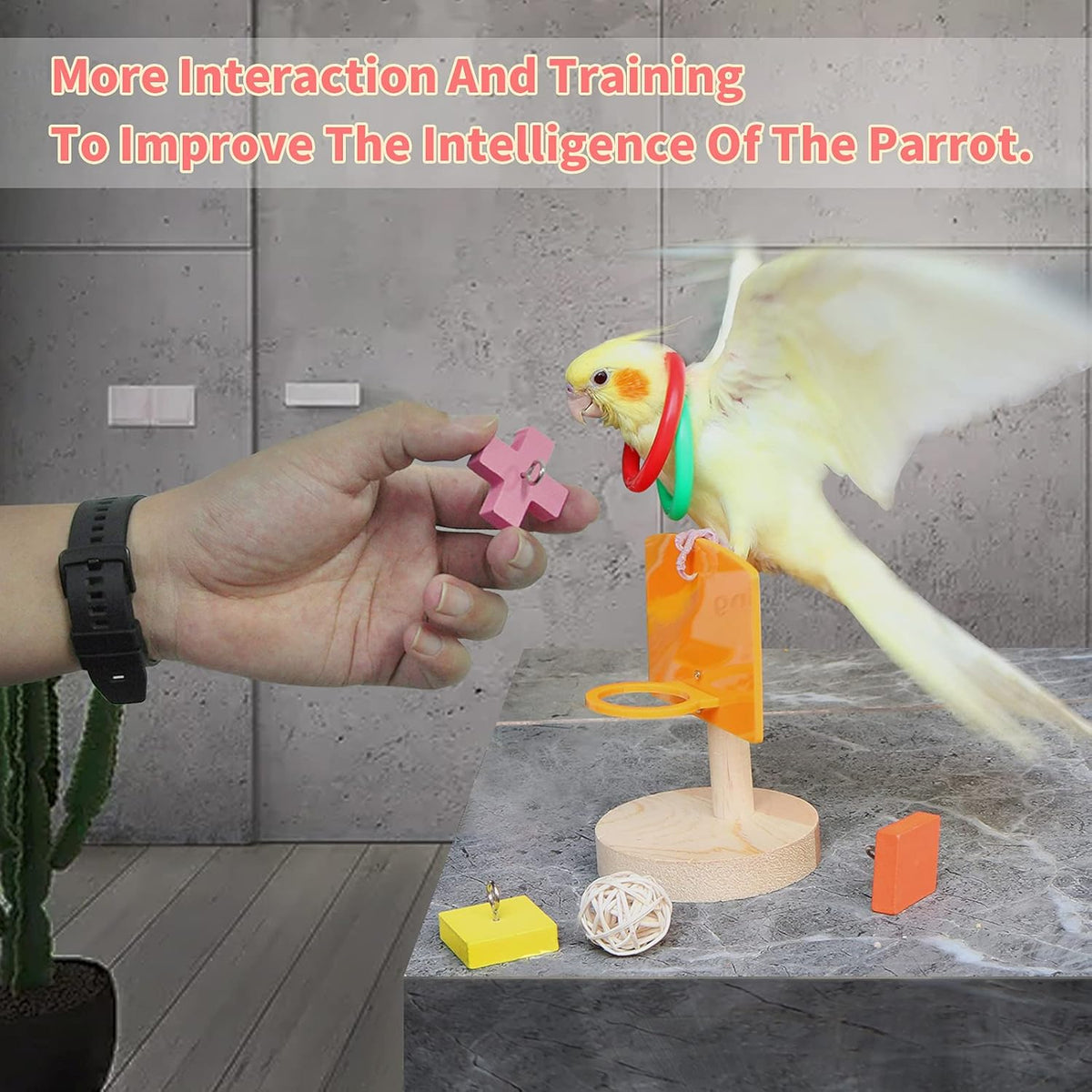 Bird Toys for Parakeets,5Pcs Parrot Toys Set (Include Basketball Hop,Skateboard,Stacking,Parrot Wooden Block Puzzles,Small Sepak Takraw) Parakeet Toys for Bird Training Toys