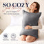 Basic beyond Standard Size Pillows for Sleeping - Soft down Alternative Pillows Luxury Hotel Collection Bed Pillows Set of 2, Grey, 20X26 Inches