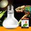 Xyzreptiles 75 Watt Reptile Heat Lamp Bulb